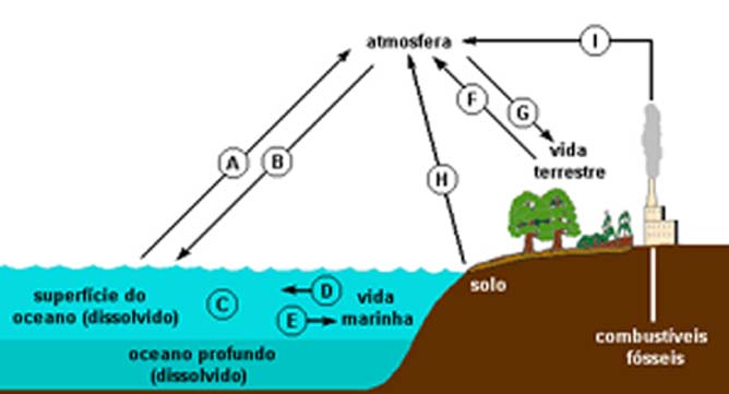 ciclodocarbono.JPG (78748 bytes)